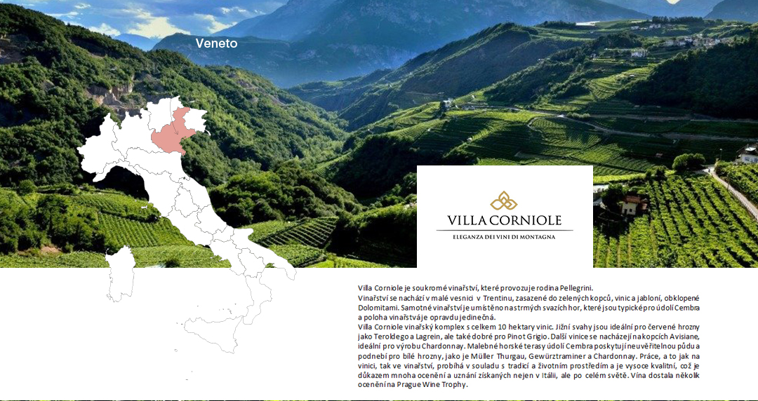 villa_1